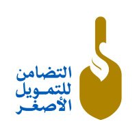 التضامن للتمويل الأصغر - Tadhamon Microfinance (@tadhamonmicro) 's Twitter Profile