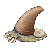 Squid wizard (@sorceras) 's Twitter Profile Photo Squid wizard (@sorceras) 's Twitter Profile Photo