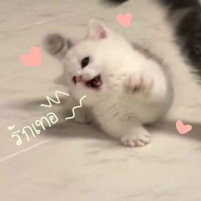ge0rjxy Profile Picture
