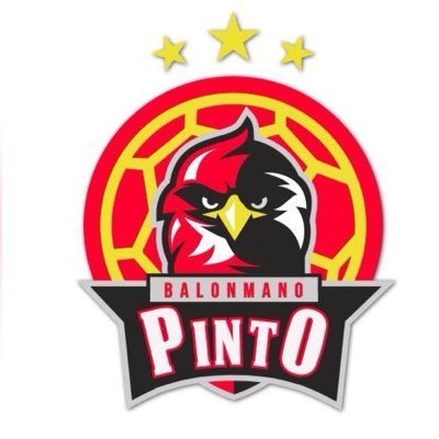 Cuenta oficial de Twitter del Club Balonmano Pinto