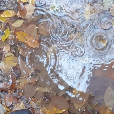 Saeed58784074's profile picture. یکی از میلیون ها پرسپولیسی❤ 🤓سوسیالیستِ دموکرات😎 ، که معنی هیچکدوم رو نمیدونه...🤔