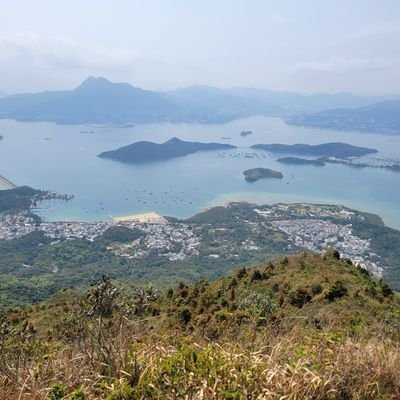 yiuahyiu's profile picture. 