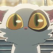 gudok_29's profile picture. 구독▪︎거래▪︎연성알티▪︎기타잡계