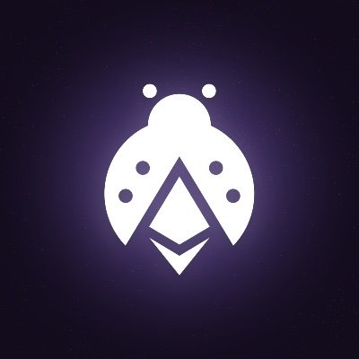 Etherspot 🐞 Profile