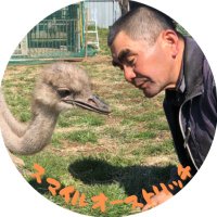 ダチョウ牧場スマイルオーストリッチ◀︎◉″麓 (@smile_ostrich) 's Twitter Profile