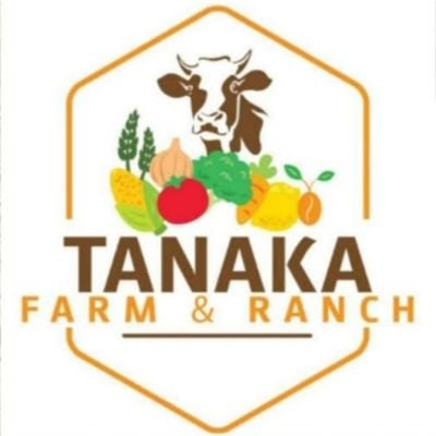 Tanaka Farm and Ranch #Seedlings🇿🇼🇿🇲