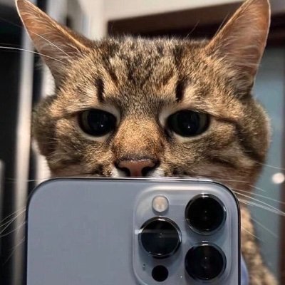 SuperoElGoat's profile picture. 