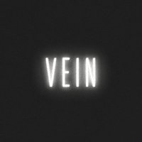 VEIN(@VEIN_lll) 's Twitter Profile Photo