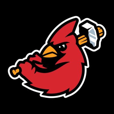 The official Twitter account of the Hamilton Cardinals Baseball Club of the @IBL1919. Email: info@iblcardinals.ca