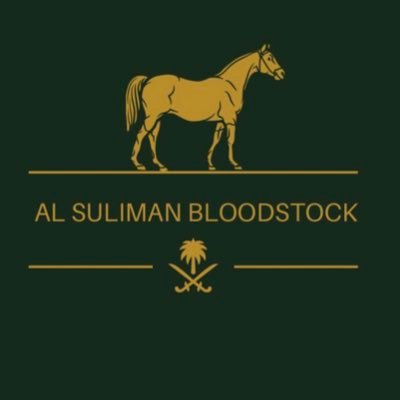 SULIMAN BLOODSTOCK AGENCY🇸🇦 Owns/Naif Suliman /Email alsuliman.bloodstock@gmail.com/ Mobile/+966506574440