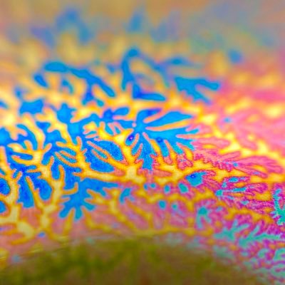 LDuRowm0kPi8C00's profile picture. 光の当て方と角度で色が変わり、 色が無くなります 新しい宝石 新しい技術 新しい構造色