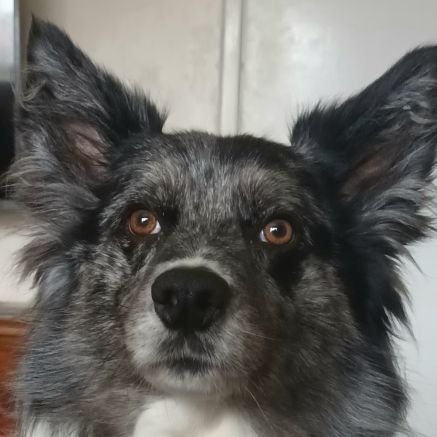 MTirebuck's profile picture. https://t.co/6WQiwzUyO8