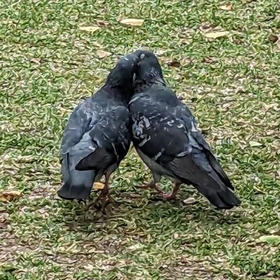 Jコブさんのプロフィール画像