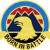 Raptor Brigade (@16thCAB) Twitter profile photo