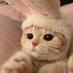 거래계 (@love_xiao_1234) Twitter profile photo 거래계 (@love_xiao_1234) Twitter profile photo