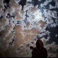 F (@fadi_c7) 's Twitter Profile