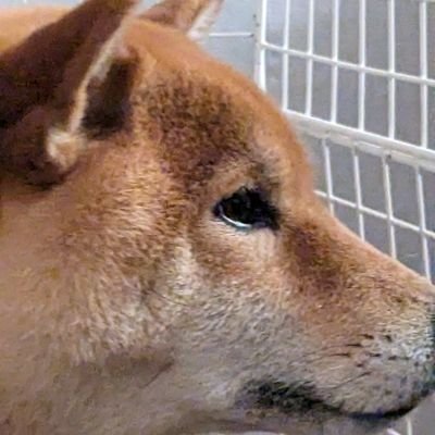 mizu_fuka8's profile picture. 🌈🕒（🎲・🔫・💧・🌙）箱推し