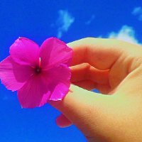 अपेक्षा_शुक्ला (@apeksha_shukla9) 's Twitter Profile