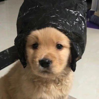 anotherils's profile picture. 