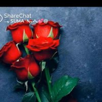 🌹🌹sk 🇮🇳🇮🇳🇮🇳 (@enggsk1) 's Twitter Profile