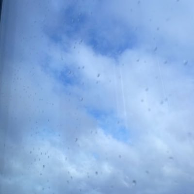 openingbantsman's profile picture. 