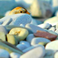 Owen Parsons (@owenpar91687609) 's Twitter Profile