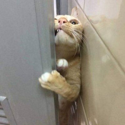 Almithy06's profile picture. Still there 🐊