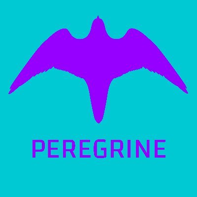 theperegrineco's profile picture. creative services for emerging technology