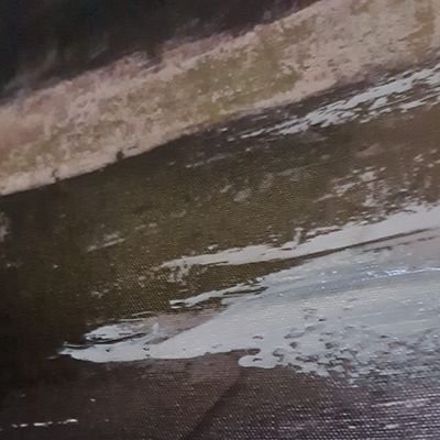 iam_blank_'s profile picture. -