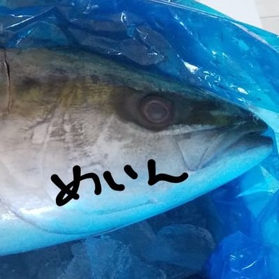 KILA1016's profile picture. ぶーん