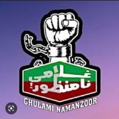 SaqiShakoorPTI's profile picture. 