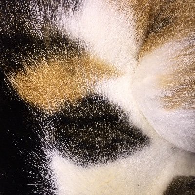 田中太郎 (@tanakazaemon) / X