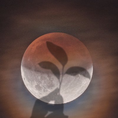 broknheart11's profile picture. Do your best and let God do the rest.