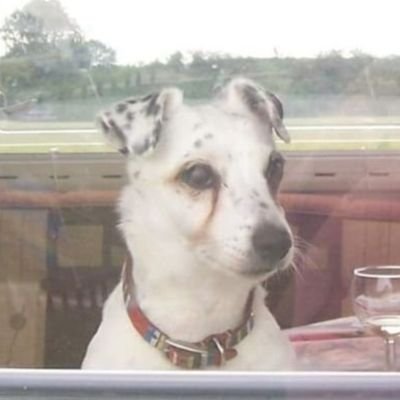 JulieSm33239920's profile picture. 