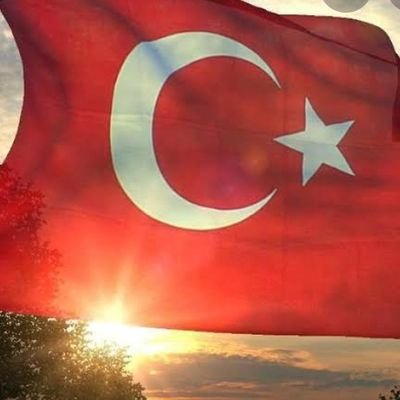 Orta Asya'dan gelen Türk