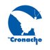 Cronache Social (@cronachelucane) Twitter profile photo