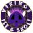 Vikings 1st and SKOL