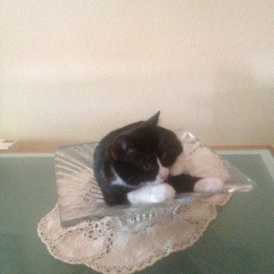 almendrete's profile picture. Desde la casa de la ciénaga.