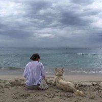 Evangeline (@carlahudgins7) 's Twitter Profile