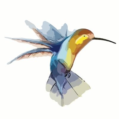 keita2_univ's profile picture. 理学院物理学系 B3