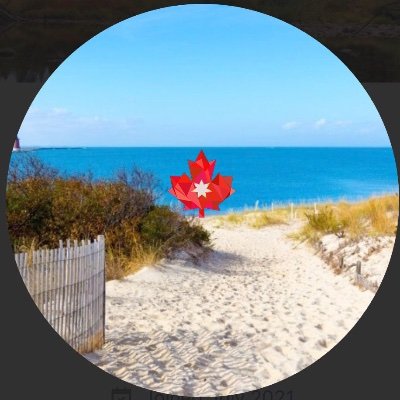 zhang27687725's profile picture. Best wishes for the world of our next generations!