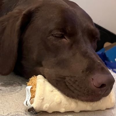 EhEm88's profile picture. 