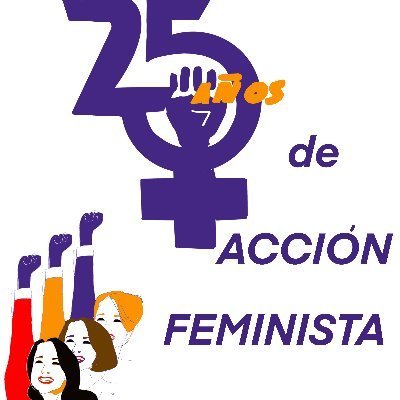 Activista Feminista, VicePresidenta Foro Feminista, Forum de Política Feminista y COMPI