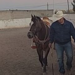 lmanza94's profile picture. And all I loved, I loved alone.