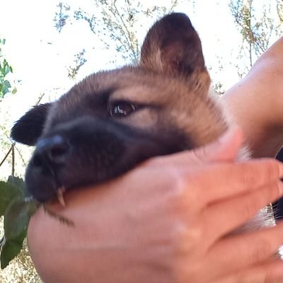 LA_GRUV's profile picture. how dare u