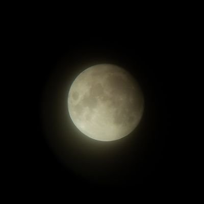 polnayalyna's profile picture. 보름달은 한 달에 한 번 찾아오네