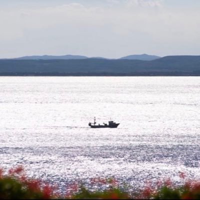 S3MPR3IGUAL's profile picture. Poker player