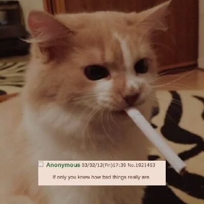 delendumestt's profile picture. any pronouns