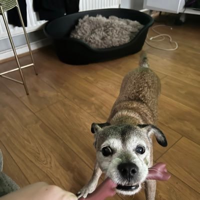 saintads1's profile picture. 