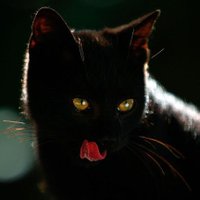 Caco (@tchurebers) 's Twitter Profile